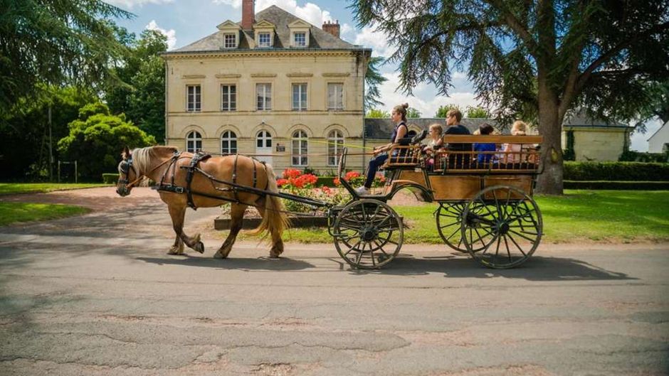 Domaine de Roiffe Exterior