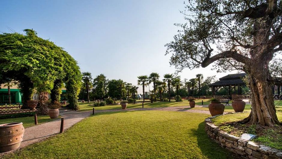 Royal Garden Hotel Other