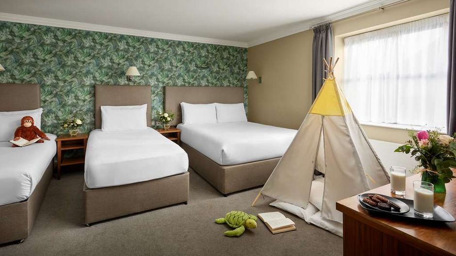 Springfield Hotel Room