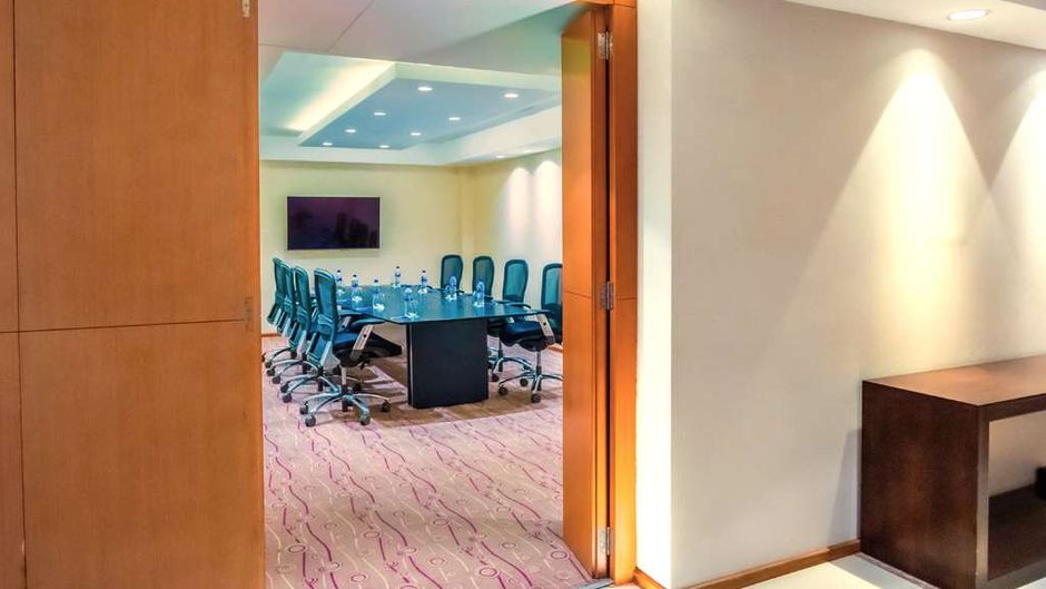 Hilton Mendoza Meeting