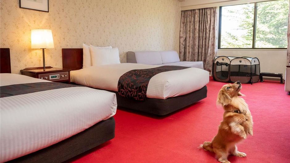 Mercure Urabandai Resort & Spa Room
