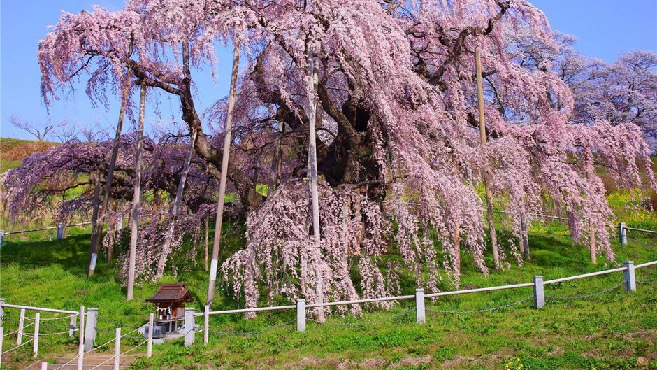 Mercure Urabandai Resort & Spa Exterior