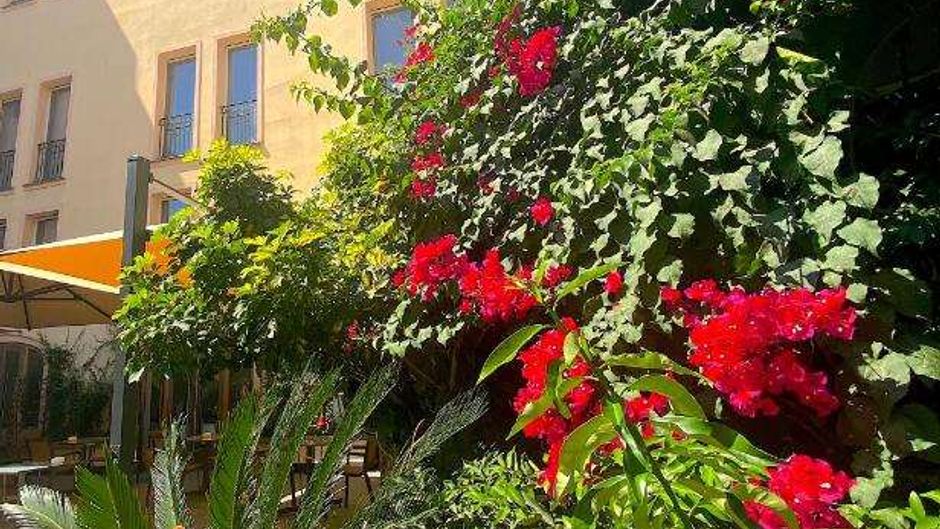 Hotel Le Palais Pozzo di Borgo Other