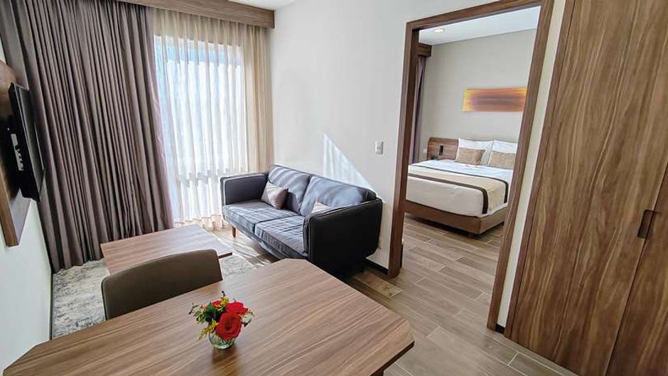 Roygent Parks Queretaro Suite