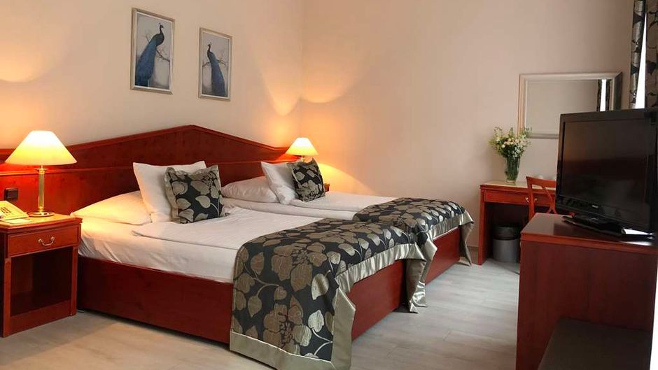 Hotel Carlton Room