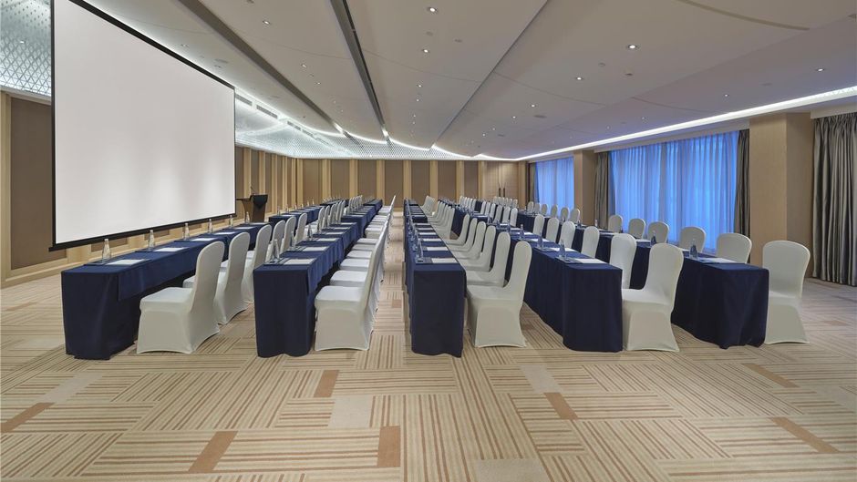 Conrad Altay Hemu Meeting