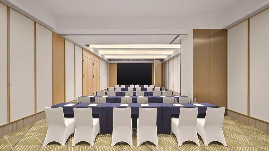 Hilton Garden Inn Sanya Bay Meeting