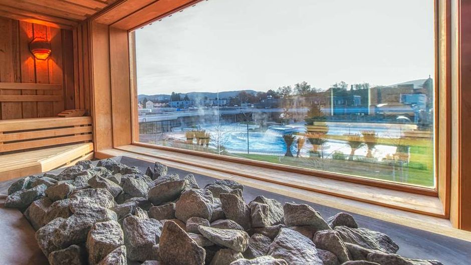 Dorint Parkhotel Bad Zurzach Other