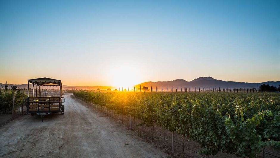 El Cielo Winery & Resort Other