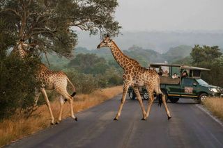 Kruger Gate Hotel