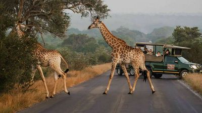 Kruger Gate Hotel