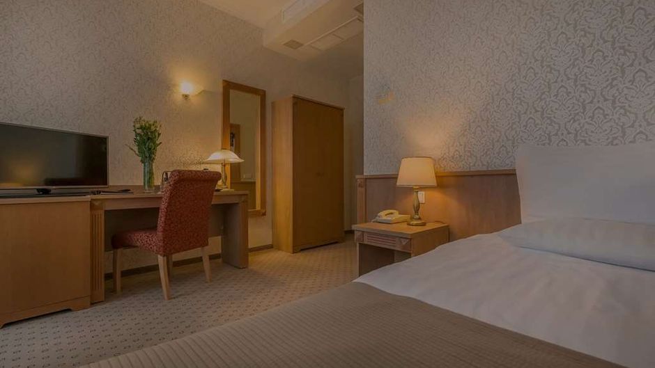 Hotel Artis Room