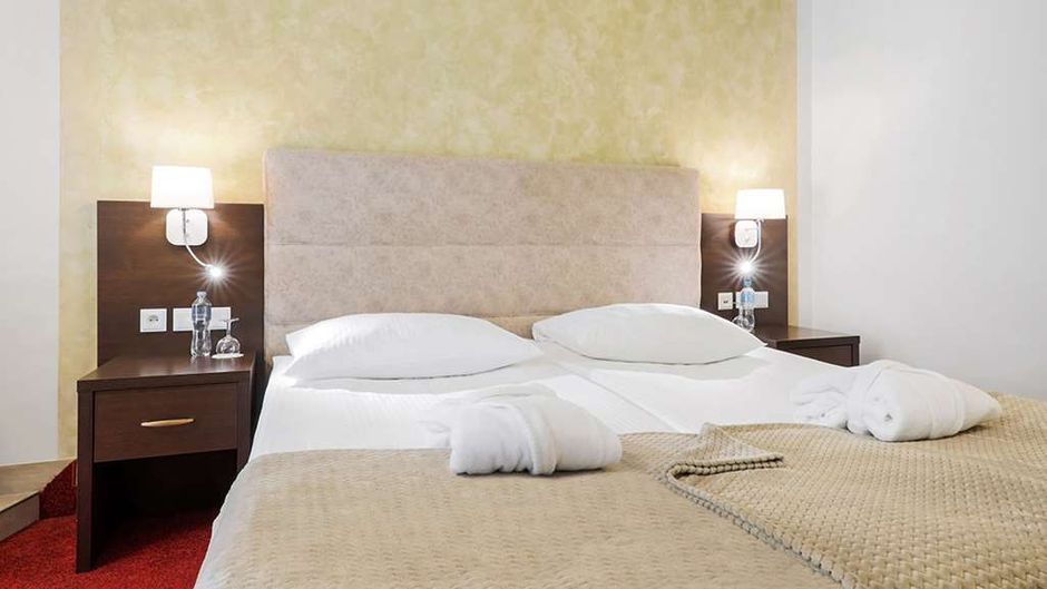 Papuga Park Hotel Room