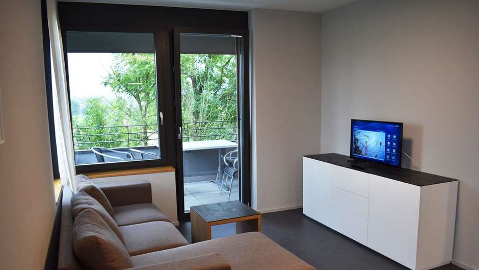 Hotel Aarau-West Room
