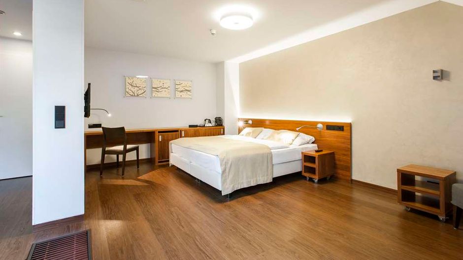 Hotel Carol Suite