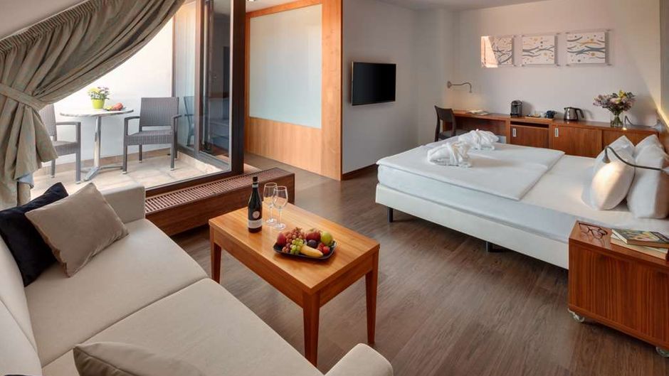Hotel Carol Suite
