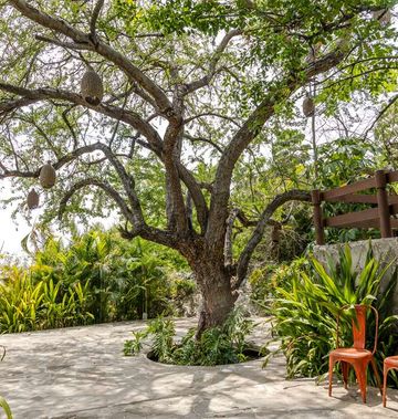 Soul Spring Sanctuary Cuernavaca