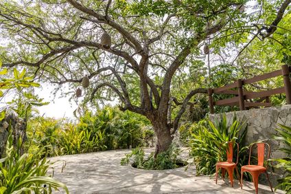 Soul Spring Sanctuary Cuernavaca