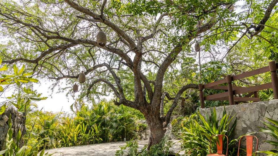 Soul Spring Sanctuary Cuernavaca Exterior