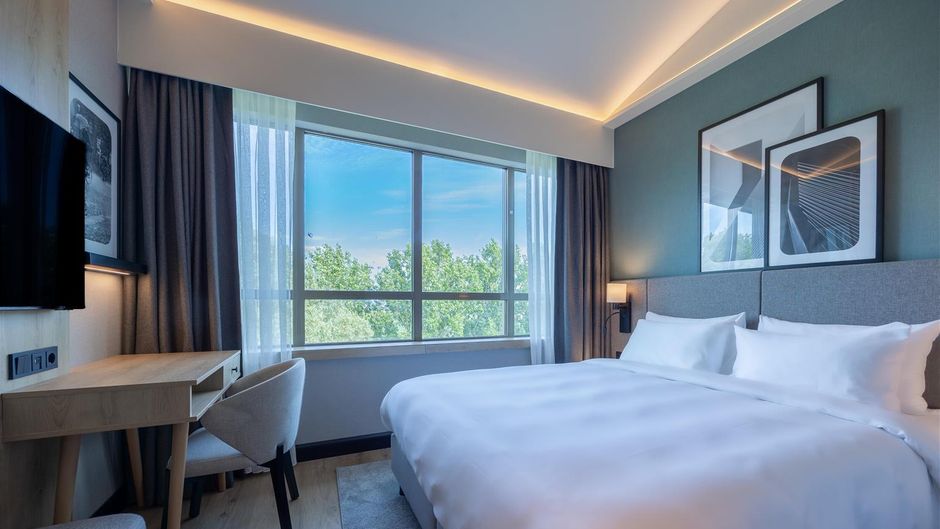 Radisson Hotel Amsterdam Schiphol Room