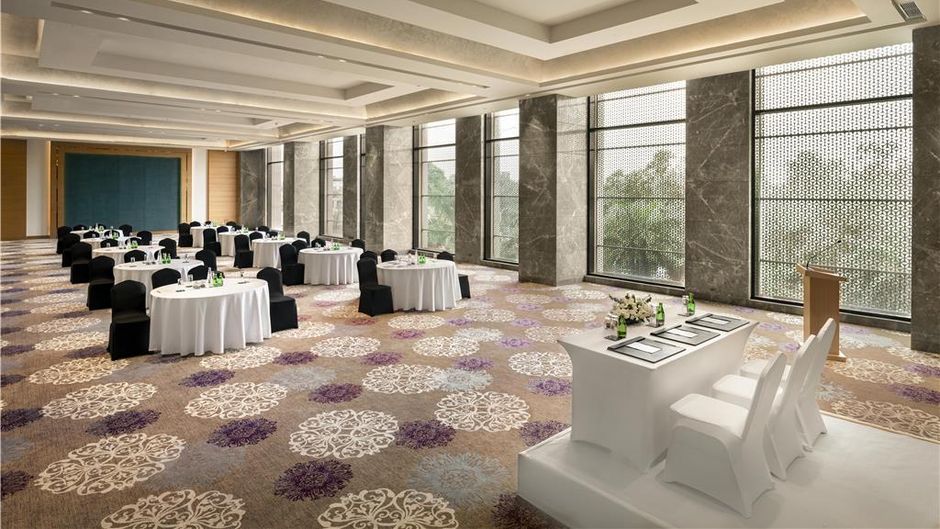 Radisson Hotel Delhi MG Road Meeting