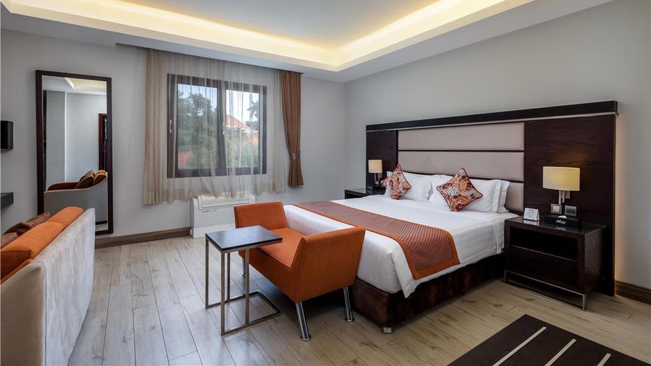 The Athena Hotel Room
