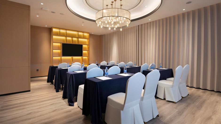 Hilton Garden Inn Diecai Li Meeting