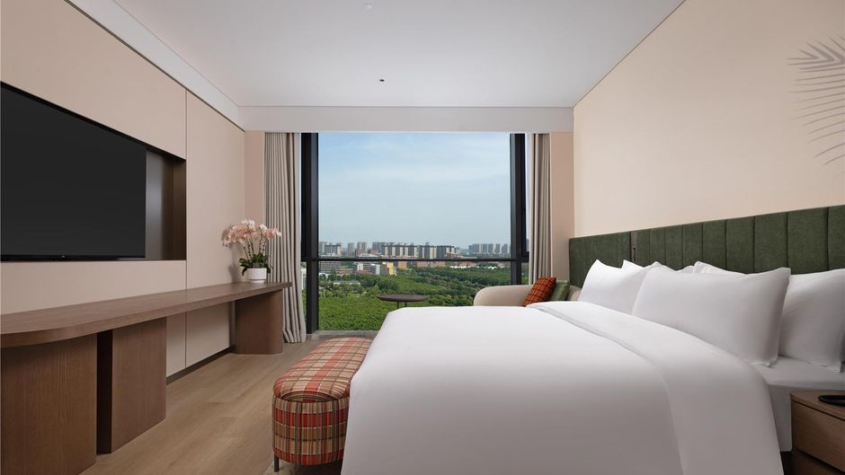 Hilton Garden Inn Zhouk Chuanhui Room