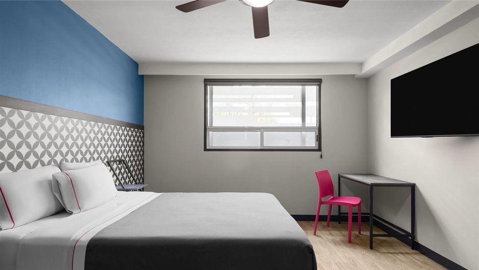 MX forum buenavista Room
