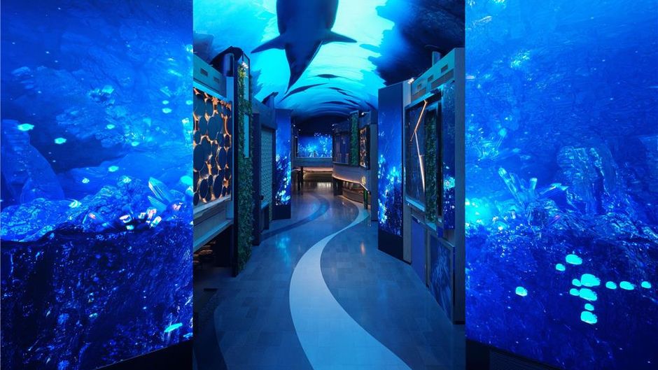 Inspire Resort Other