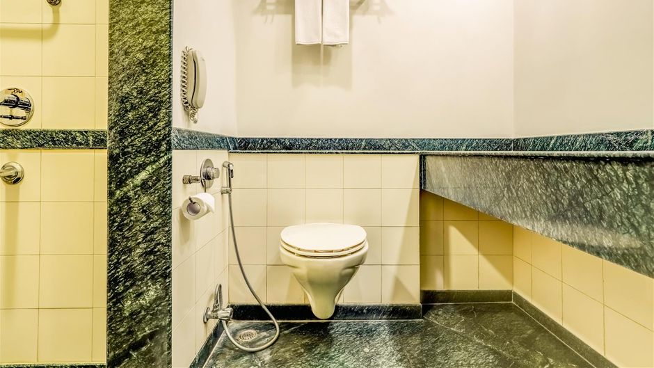 Lemon Tree Hotel, East Delhi Mall Room