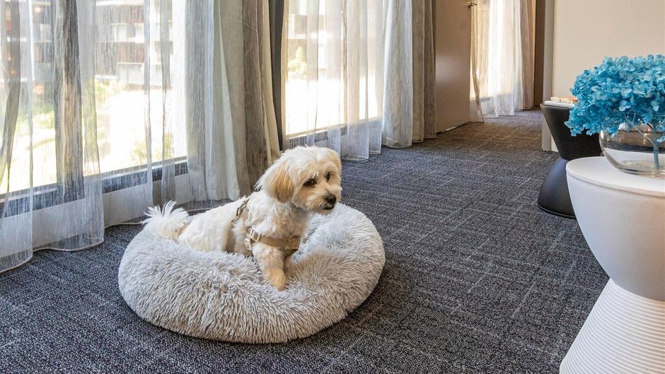 Corporate Living  Abbotsford Room