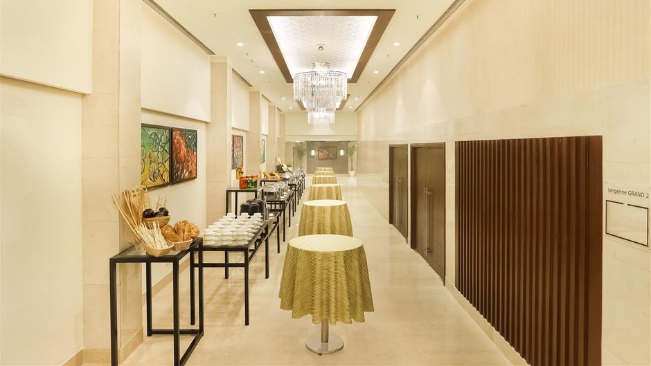 Lemon Tree Hotel Aligarh Meeting