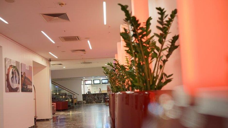 ARCOTEL Rubin Lobby