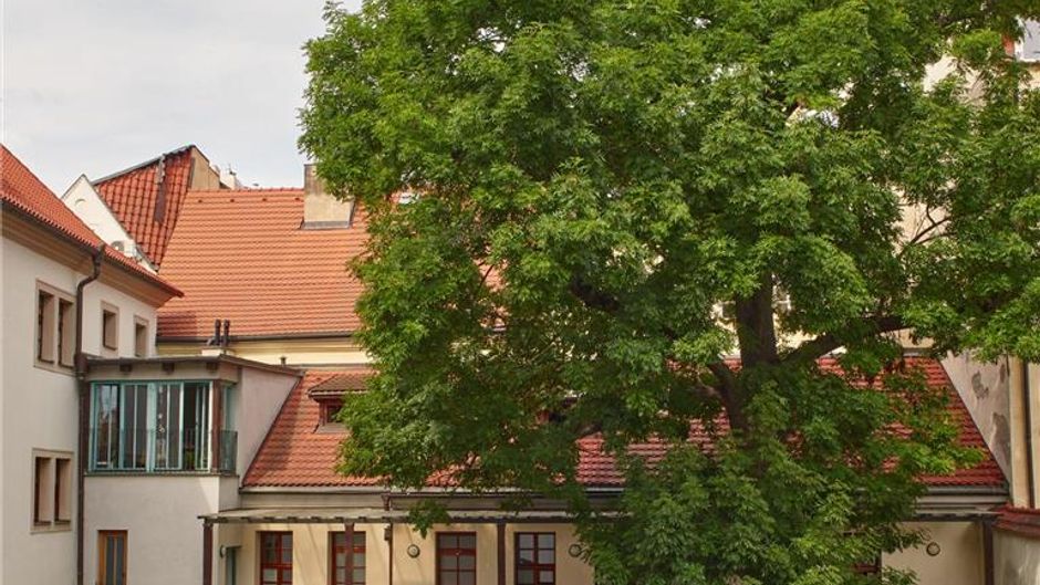 Augustine, a Luxury Collection Hotel Other