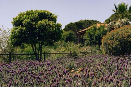 Hotel Velamar