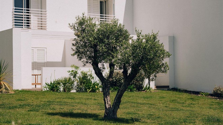 Hotel Velamar Exterior