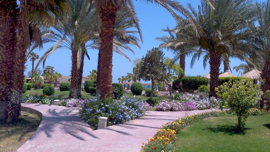 Lotus Bay Beach Resort & Gardens Other