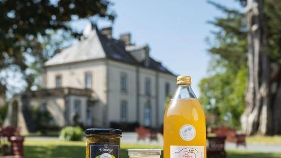 Chateau de la Richerie Other