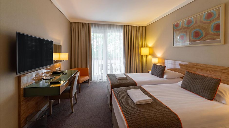 Hotel Pagony Room
