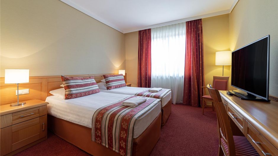 Hotel Pagony Room