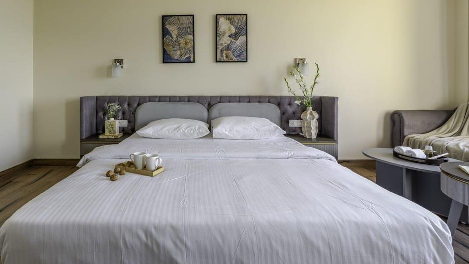 Essentia Luxury Hotel Nagpur Room