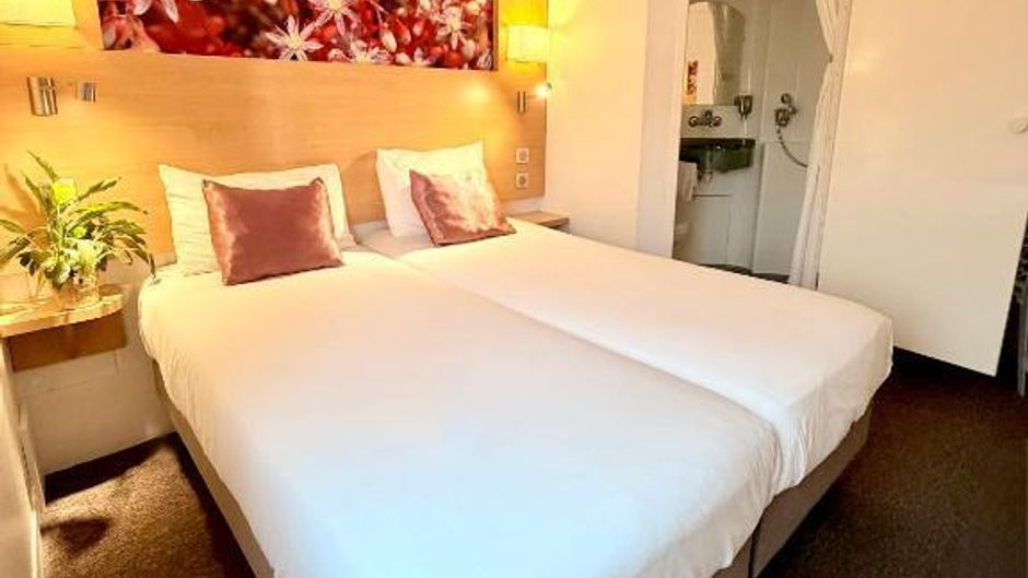 Fasthotel Orleans Sud Parc Expo Room