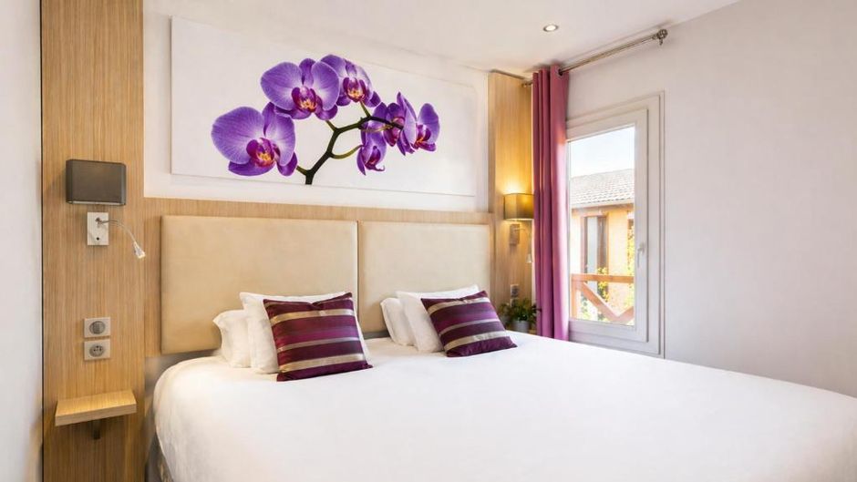 FH Confort Hotel Orleans Sud Room