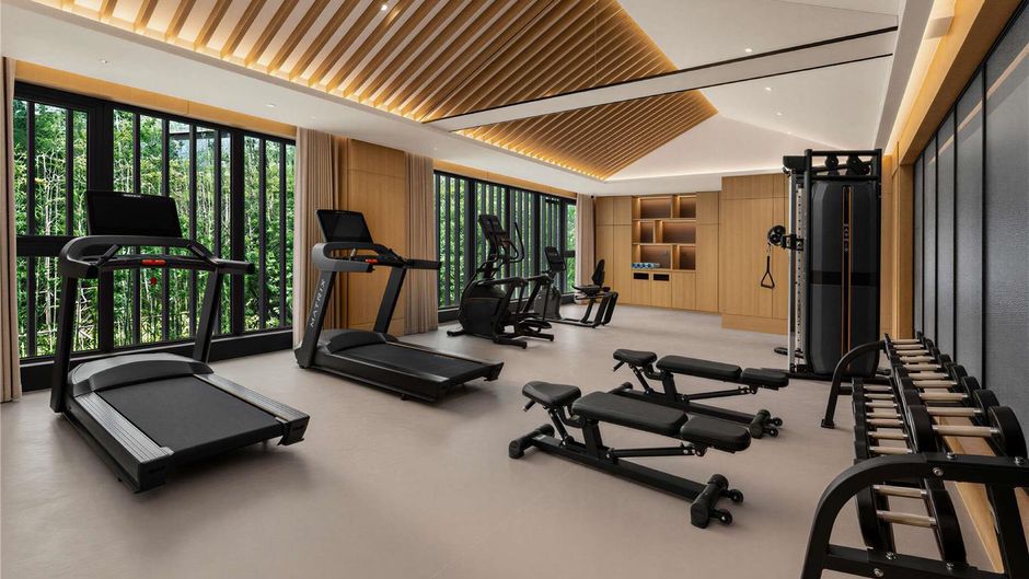 Pullman Moganshan Health