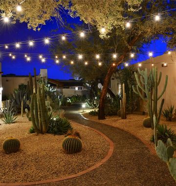 Lodge on the Desert