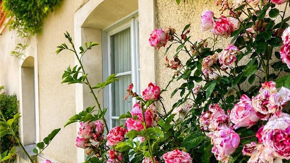 Domaine de l'Orangerie Exterior