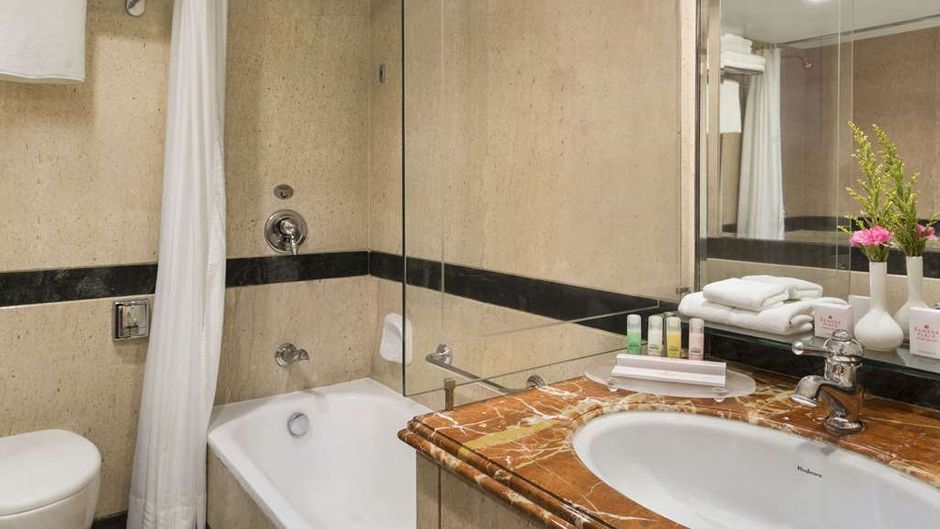 Ramada Plaza Palm Grove Room