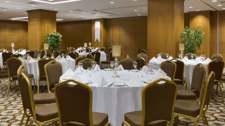 Ramada Plaza by Wyndham Izmit Ballroom