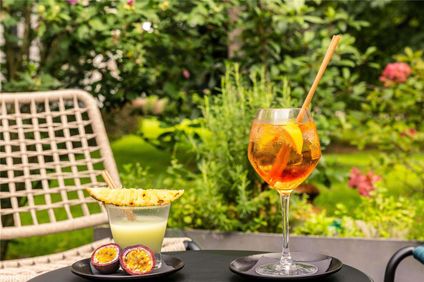 Hotel Mercure Strasbourg Airport